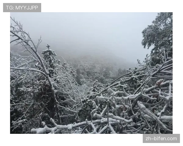 沙纳汉麦克维体系统治联盟 半数球队进攻源自两人教练树